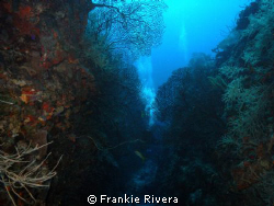 This is the entry to Efra's Wall, one of the most spectac... by Frankie Rivera 